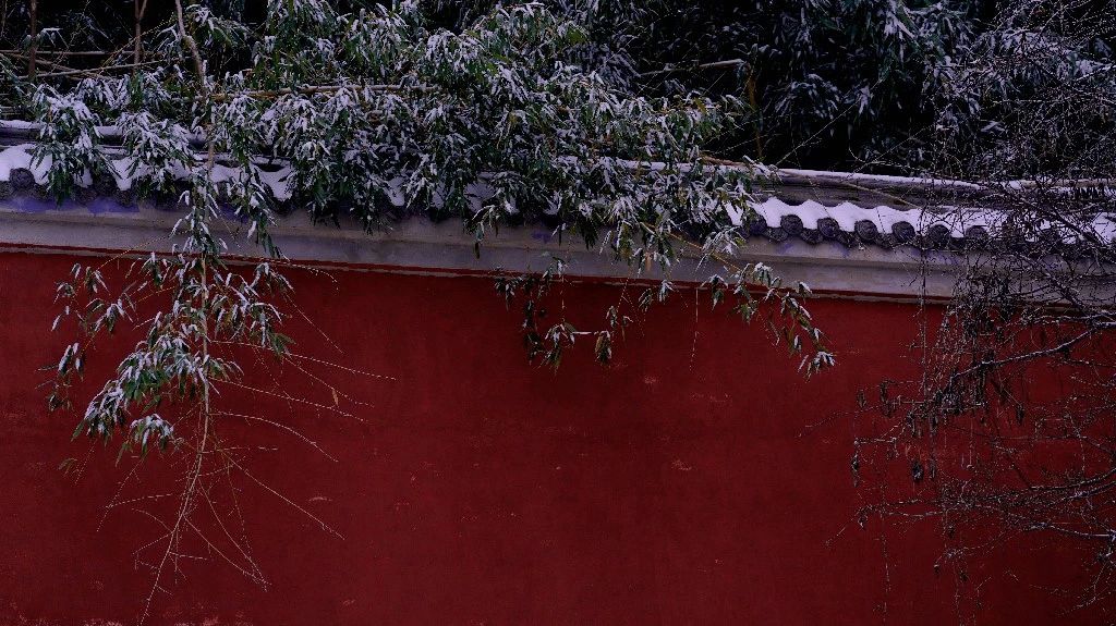 微信图片_20240202082648.jpg
