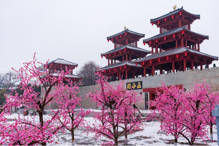 微信图片_20240209084200.png 微信图片_20240209084200.png