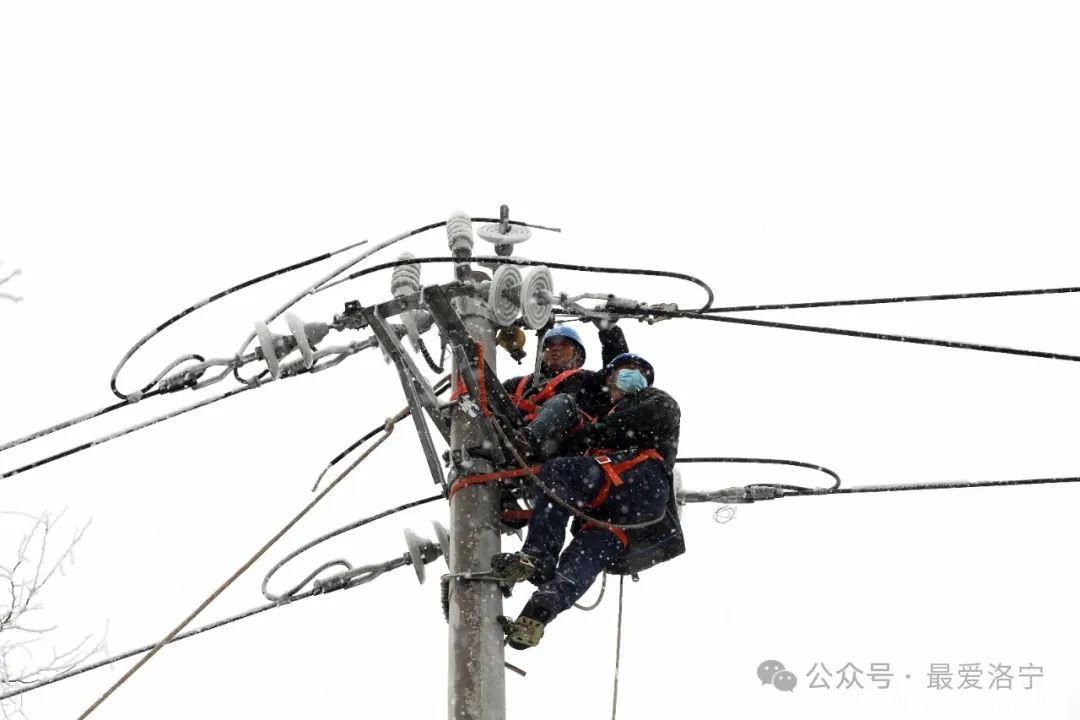 微信图片_20240211195202.jpg 微信图片_20240211195202.jpg