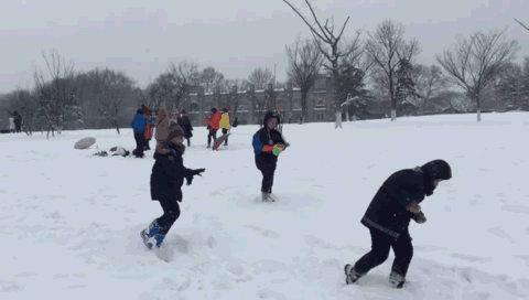 微信图片_20231230083036.gif 微信图片_20231230083036.gif