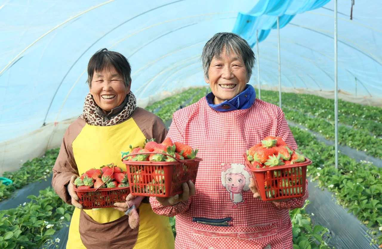 微信图片_20231229140919.png 微信图片_20231229140919.png