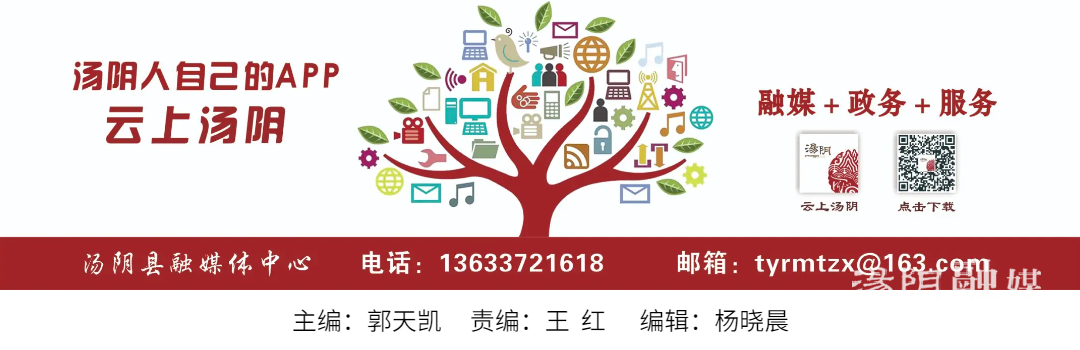 云尾图.png 云尾图.png