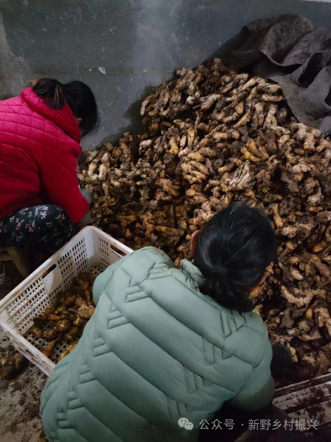 微信图片_20240112095144.png 微信图片_20240112095144.png