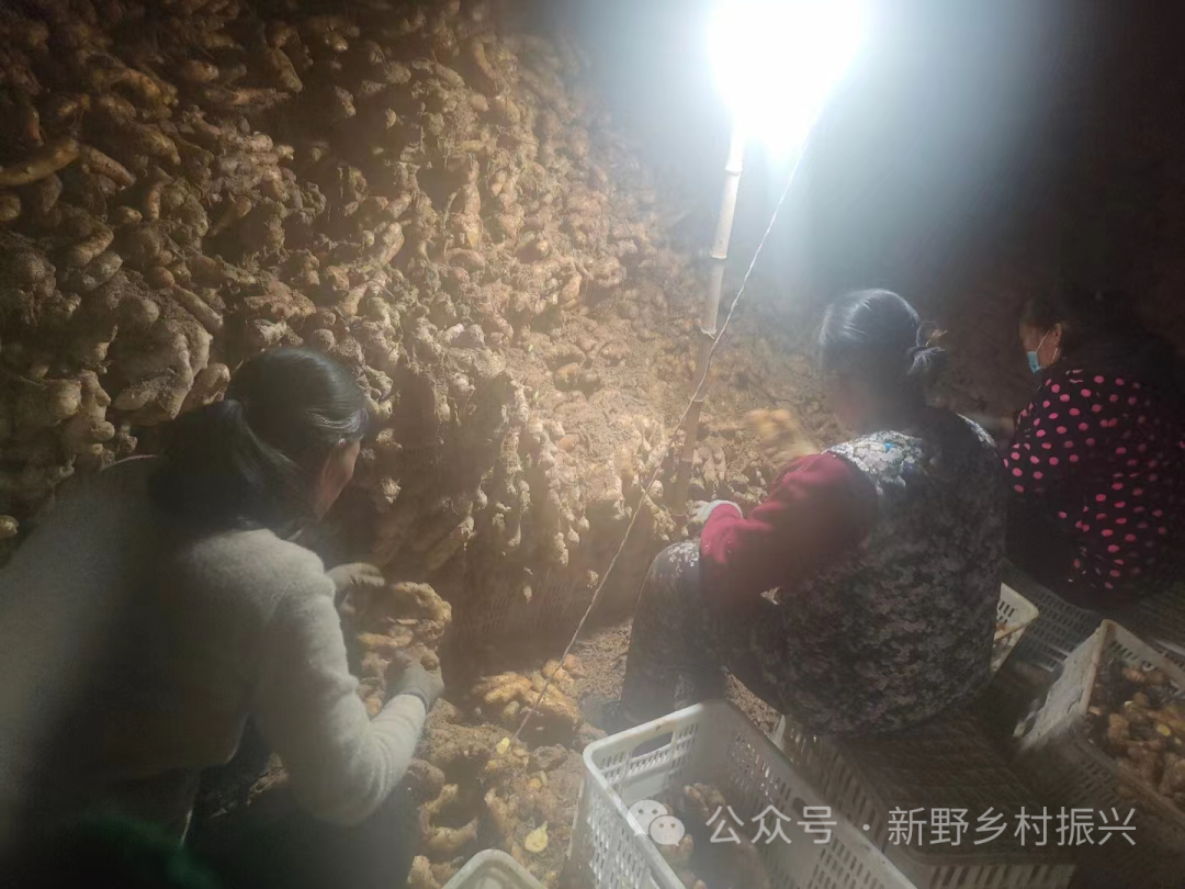 微信图片_20240112095141.png 微信图片_20240112095141.png